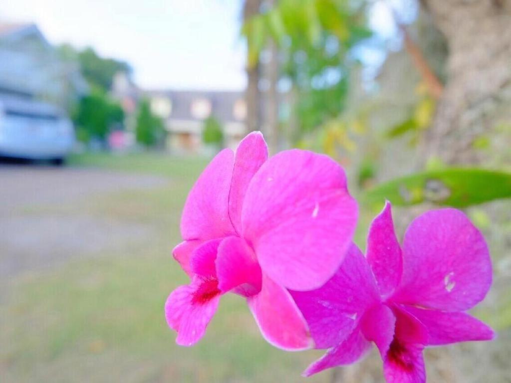 Charisma Resort Suan Phueng Eksteriør bilde